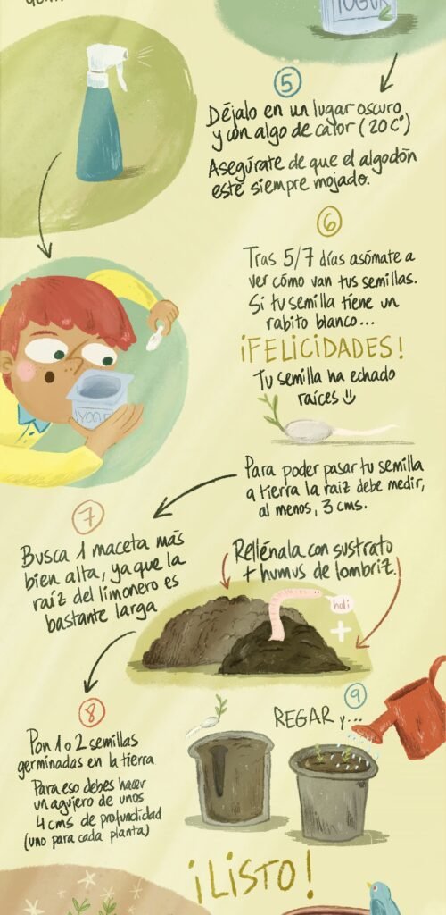 InfografiaDidactica 2