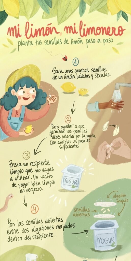 InfografiaDidactica1