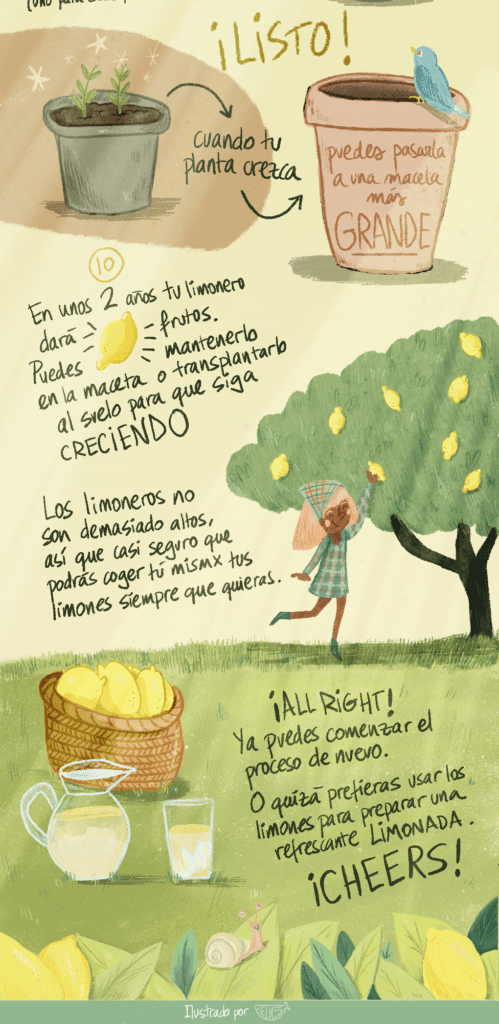 InfografiaDidactica3