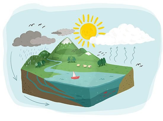 ilustración libro de texto